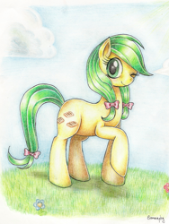 Size: 1483x1970 | Tagged: safe, artist:evomanaphy, character:apple fritter, apple family member, female, solo, traditional art