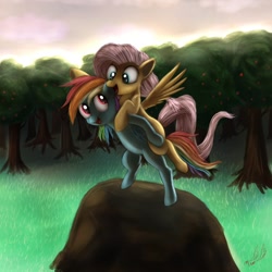 Size: 1200x1200 | Tagged: safe, artist:miokomata, character:fluttershy, character:rainbow dash, blank flank, filly