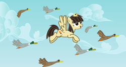 Size: 12600x6700 | Tagged: safe, artist:vector-brony, character:wild fire, oc, ponysona, species:bird, species:duck, species:mallard, species:pegasus, species:pony, absurd resolution, animal, duckling, female, flock, flying, male, mare, sibsy, sitting on head, sky, that pony sure does love ducks