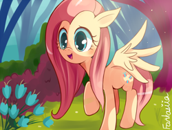 Size: 800x600 | Tagged: safe, artist:ipun, character:fluttershy, female, solo