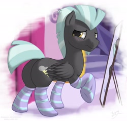 Size: 2500x2374 | Tagged: safe, artist:skipsy, character:thunderlane, species:pegasus, species:pony, g4, blushing, carousel boutique, clothing, cute, high res, looking at you, male, mirror, plot, raised hoof, signature, socks, solo, stallion, striped socks, three quarter view, thunderbutt