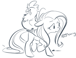 Size: 707x539 | Tagged: safe, artist:php27, character:fluttershy, species:pegasus, species:pony, species:rooster, female, floppy ears, mare, monochrome, sketch, the joke is cockerels