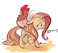 Size: 707x639 | Tagged: safe, artist:php27, artist:rustydooks, character:fluttershy, species:chicken, species:pegasus, species:pony, species:rooster, colored, female, floppy ears, mare, the joke is cockerels