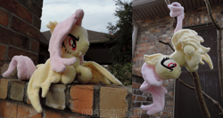 Size: 1661x881 | Tagged: safe, artist:meggchan, character:flutterbat, character:fluttershy, species:bat pony, species:pony, episode:bats!, g4, my little pony: friendship is magic, irl, photo, plushie, race swap, that was fast