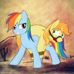 Size: 1600x1585 | Tagged: safe, artist:dripponi, character:braeburn, character:rainbow dash, ship:braedash, ballgag, bondage, bound, cactus, drool, female, gag, grin, hogtied, looking back, male, shipping, show accurate, smiling, wide eyes