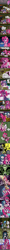 Size: 700x17025 | Tagged: safe, artist:fauxsquared, character:apple bloom, character:pinkie pie, character:scootaloo, character:sweetie belle, oc, species:earth pony, species:pegasus, species:pony, burrito, comic, cutie mark crusaders