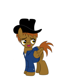 Size: 774x1032 | Tagged: safe, artist:drawponies, oc, oc only, oc:calamity, species:pegasus, species:pony, fallout equestria, clothing, dashite, fanfic, fanfic art, hat, hooves, male, open mouth, sly look, solo, stallion, wings