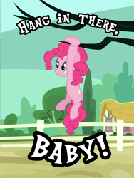 Size: 4320x5760 | Tagged: safe, artist:cheezedoodle96, character:pinkie pie, species:pony, absurd resolution, female, hang in there, hanging, image macro, motivational poster, solo, tree, vector