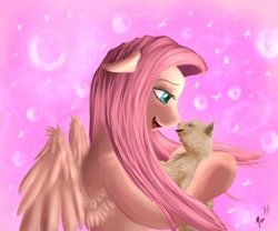 Size: 1000x833 | Tagged: safe, artist:miokomata, character:fluttershy, cat, fangs, female, solo