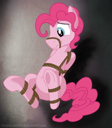 Size: 1578x1800 | Tagged: safe, artist:dripponi, character:pinkie pie, adoraberry, belly button, bondage, bound, bubble berry, cute, gag, male, muzzle, muzzle gag, nervicited, presenting, rope, rope gag, rule 63, rule63betes, shibari, show off, solo, underhoof, wavy mouth