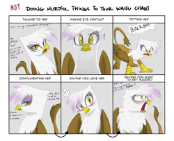 Size: 1600x1300 | Tagged: safe, artist:adequality, artist:jessy, character:gilda, species:griffon, blushing, crying, cute, doing loving things, dweeb, female, fluffy, frown, gildadorable, gildere, glare, looking at you, looking away, meme, question mark, raised eyebrow, rejection, smirk, sweat, tail wag, tsundere, wide eyes