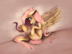 Size: 1200x900 | Tagged: safe, artist:miokomata, character:fluttershy, blushing, fangs, female, floppy ears, looking at you, pose, sitting, smiling, solo, spread wings, wings