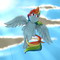 Size: 3600x3600 | Tagged: safe, artist:captainpudgemuffin, artist:vicse, character:rainbow dash, belly button, cute, dolan, female, flying, smirk, solo