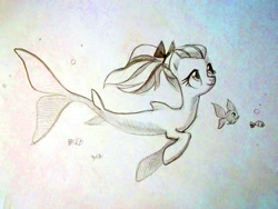 Size: 4288x3216 | Tagged: safe, artist:holivi, character:fluttershy, female, fish, hippocampus, merpony, ponytail, sketch, solo, species swap, swimming, underwater, watershy