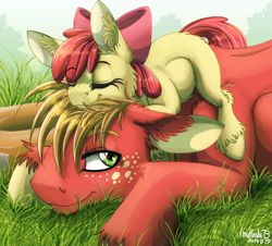 Size: 900x815 | Tagged: safe, artist:inuhoshi-to-darkpen, character:apple bloom, character:big mcintosh, species:earth pony, species:pony, adorabloom, bow, brother and sister, cute, ear fluff, equestria's best big brother, eyes closed, fluffy, freckles, grass, hair bow, macabetes, pony hat, sleeping, unshorn fetlocks