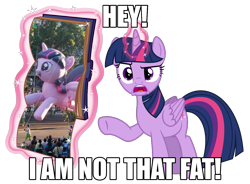 Size: 1358x1000 | Tagged: safe, artist:masem, character:twilight sparkle, character:twilight sparkle (alicorn), species:alicorn, species:pony, episode:testing testing 1-2-3, g4, my little pony: friendship is magic, balloon, book, exploitable meme, female, i am not that tall, irl, mare, meme, parade balloon, photo, rainbow dash's centerfold, simple background, transparent background, vector