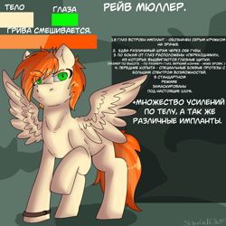 Size: 5808x5808 | Tagged: safe, artist:slynecallisto, oc, oc only, oc:rave muller, species:pegasus, species:pony, absurd resolution, implants, male, reference sheet, russian