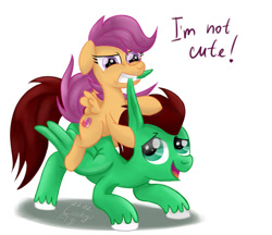Size: 961x832 | Tagged: safe, artist:redheadfly, character:scootaloo, oc, oc:northern haste, species:pegasus, species:pony, angry, biting, blatant lies, cute, cutealoo, i'm not cute, request, scootaloo is not amused