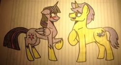 Size: 1024x548 | Tagged: safe, artist:pimpartist101, character:comet tail, character:twilight sparkle, character:twilight sparkle (alicorn), species:alicorn, species:pony, ship:cometlight, female, lined paper, male, mare, shipping, straight, traditional art