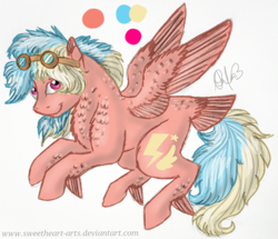 Size: 1280x1099 | Tagged: safe, artist:sweetheart-arts, oc, oc only, oc:speedy, reference sheet, solo, tail feathers