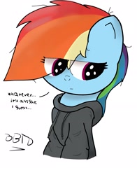 Size: 1921x2447 | Tagged: safe, artist:bronybehindthedoor, character:rainbow dash, clothing, dialogue, digital art, female, hoodie, signature, solo