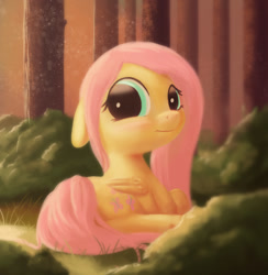 Size: 1053x1080 | Tagged: safe, artist:starblaze25, character:fluttershy, species:pegasus, species:pony, blushing, cute, female, filly, filly fluttershy, floppy ears, folded wings, forest, frown, hnnng, looking at you, looking back, prone, shy, shyabetes, solo, younger