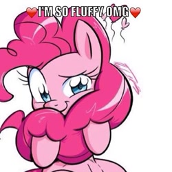 Size: 480x480 | Tagged: safe, artist:no-ink, edit, character:pinkie pie, cropped, cute, diapinkes, female, fluffy, heart, image macro, looking at you, meme, raised eyebrow, simple background, sitting, smiling, solo, white background