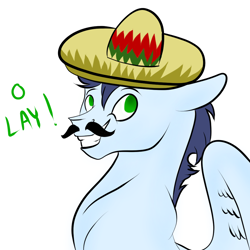 Size: 1000x1000 | Tagged: safe, artist:neonaarts, character:soarin', species:pony, facial hair, male, moustache, simple background, solo, sombrero, white background