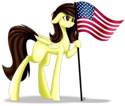 Size: 1024x870 | Tagged: safe, artist:whitehershey, oc, oc only, oc:white hershey, flag, simple background, solo, tall, transparent background, united states