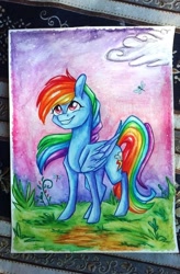 Size: 718x1094 | Tagged: safe, artist:twixyamber, character:rainbow dash, cloud, dragonfly, female, photo, solo, traditional art