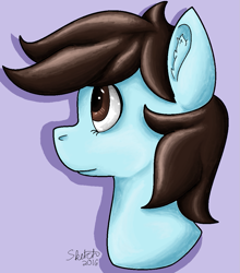 Size: 931x1059 | Tagged: safe, artist:sketchthebluepegasus, oc, oc only, species:earth pony, species:pony, bust, portrait, solo