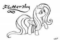 Size: 3000x2000 | Tagged: safe, artist:crimson, character:fluttershy, female, monochrome, raised hoof, simple background, sketch, solo, white background