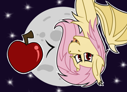 Size: 2000x1455 | Tagged: safe, artist:koonzypony, character:flutterbat, character:fluttershy, species:bat pony, species:pony, apple, food, fruit, looking at you, moon, nocturnal adventures, race swap, simple background, stars, twilight sparkle's secret shipfic folder, upside down