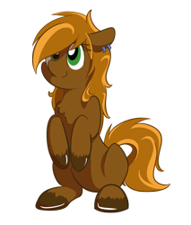 Size: 512x600 | Tagged: safe, artist:crowneprince, oc, oc only, oc:hammer snuggle, species:earth pony, species:pony, 2018 community collab, derpibooru community collaboration, ear piercing, piercing, simple background, solo, transparent background, unshorn fetlocks