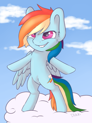 Size: 3000x4000 | Tagged: safe, artist:dbleki, character:rainbow dash, species:pegasus, species:pony, backwards cutie mark, bipedal, chest fluff, cloud, cute, female, fluffy, mare, on a cloud, smiling, solo, standing on a cloud