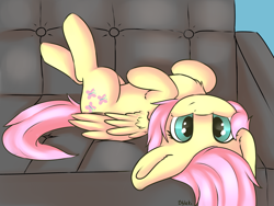 Size: 4000x3000 | Tagged: safe, artist:dbleki, character:fluttershy, species:pegasus, species:pony, behaving like a cat, behaving like a dog, chest fluff, couch, cute, ear fluff, female, fluffy, fluffyball, happy, looking at you, lying down, on back, shyabetes, smiling, solo, wing fluff