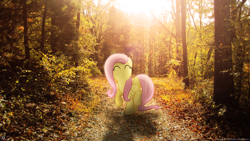 Size: 1920x1080 | Tagged: safe, artist:drakesparkle44, artist:givralix, character:fluttershy, eyes closed, forest, happy, irl, leaves, pathway, photo, ponies in real life, shadow, solo, tree, vector