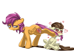 Size: 1400x1000 | Tagged: safe, artist:redheadfly, character:pound cake, character:scootaloo, species:pegasus, species:pony, newbie artist training grounds, annoyed, atg 2017, biting, crush, female, heart, heart eyes, male, mouth hold, older, rejected, scootapound, shipping, simple background, straight, tail bite, unamused, unrequited, white background, wingding eyes