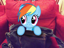 Size: 4288x3216 | Tagged: safe, artist:missbeigepony, character:rainbow dash, species:pony, bag, chair, irl, photo, ponies in real life, vector