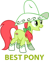 Size: 1024x1324 | Tagged: safe, artist:daringdashie, edit, character:peachy sweet, species:earth pony, species:pony, apple family member, background pony, best pony, boots, clothing, female, hat, image macro, mare, meme, shoes, simple background, solo, ten gallon hat, white background
