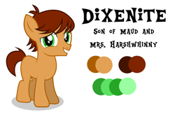 Size: 6000x4000 | Tagged: safe, artist:spottedlions, oc, oc only, oc:dixenite, parent:maud pie, parent:ms. harshwhinny, species:pony, colt, magical lesbian spawn, male, next generation, offspring