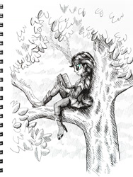 Size: 1024x1365 | Tagged: safe, artist:helmie-d, character:sunset shimmer, inktober, my little pony:equestria girls, against tree, book, clothing, female, inktober 2017, monochrome, pants, reading, solo, traditional art, tree, tree branch