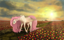 Size: 1024x636 | Tagged: safe, artist:vinicius040598, character:fluttershy, species:pegasus, species:pony, female, floppy ears, flower, flower field, folded wings, freckles, looking at something, looking down, mare, path, smiling, solo, sun, sunset, tulip, wings