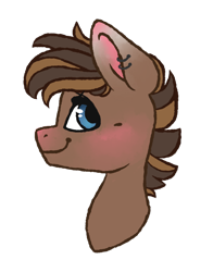 Size: 1024x1303 | Tagged: safe, artist:twixyamber, oc, oc only, species:pony, bust, male, portrait, simple background, solo, stallion, transparent background