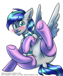 Size: 2000x2400 | Tagged: safe, artist:bigmoon206, oc, oc only, oc:storm feather, species:pegasus, species:pony, blushing, clothing, crossdressing, dock, featureless crotch, male, pink socks, scarf, simple background, socks, solo, stallion, transparent background