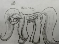 Size: 2851x2137 | Tagged: safe, artist:katkathasahathat, character:fluttershy, species:pegasus, species:pony, blushing, female, floppy ears, mare, shy, solo, traditional art