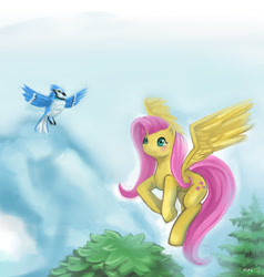 Size: 1024x1076 | Tagged: safe, artist:dozer, character:fluttershy, species:bird, species:pegasus, species:pony, blue jay, blushing, female, flying, mare, smiling, solo, spread wings, wings