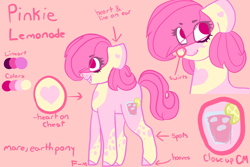 Size: 3000x2000 | Tagged: safe, artist:sodadoodle, oc, oc only, oc:pinkie lemonade, species:earth pony, species:pony, cutie mark, eyebrows, female, mare, pattern, reference sheet, simple background, solo, unshorn fetlocks, writing