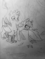 Size: 984x1280 | Tagged: safe, artist:theorderofalisikus, character:gallus, character:sandbar, species:earth pony, species:griffon, species:pony, ship:gallbar, episode:school daze, g4, my little pony: friendship is magic, animal, beach, black and white, blushing, gay, grayscale, interspecies, leaf, male, monochrome, mouth hold, shipping, traditional art, turtle