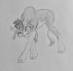 Size: 1280x1227 | Tagged: safe, artist:joestick, community related, character:arizona cow, species:cow, them's fightin' herds, cloven hooves, fanart, female, handkerchief, horns, pencil drawing, simple background, solo, tail, traditional art